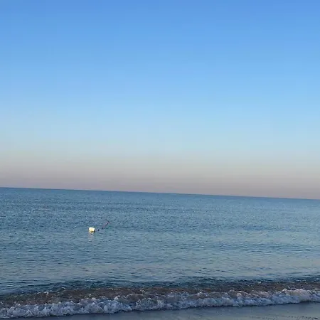Mediterranea * Butera